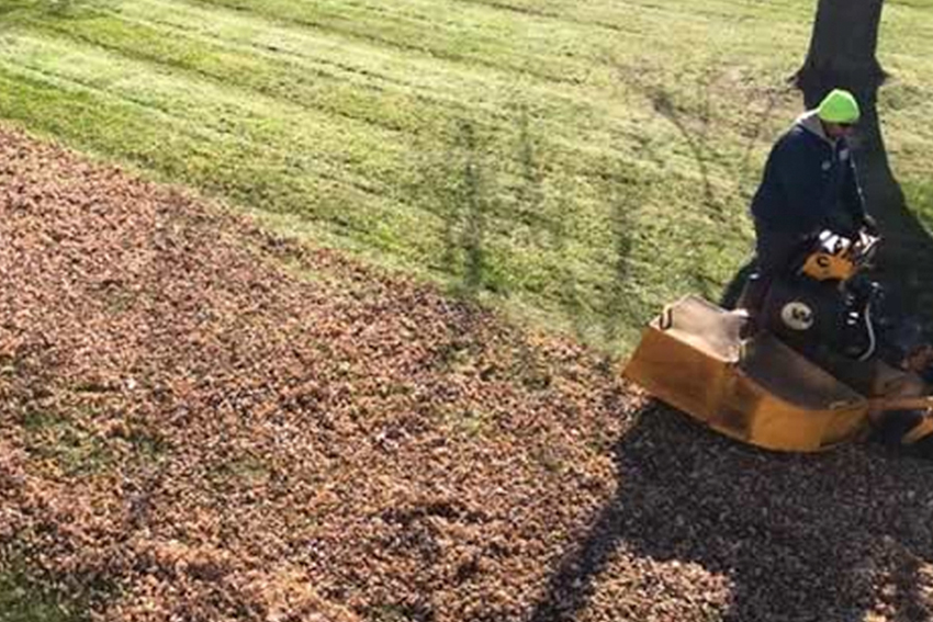 Spring & Fall Cleanup